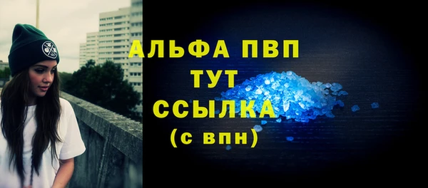 индика Апатиты