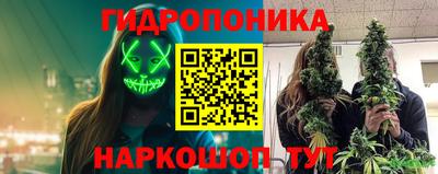 спайс Гусь-Хрустальный