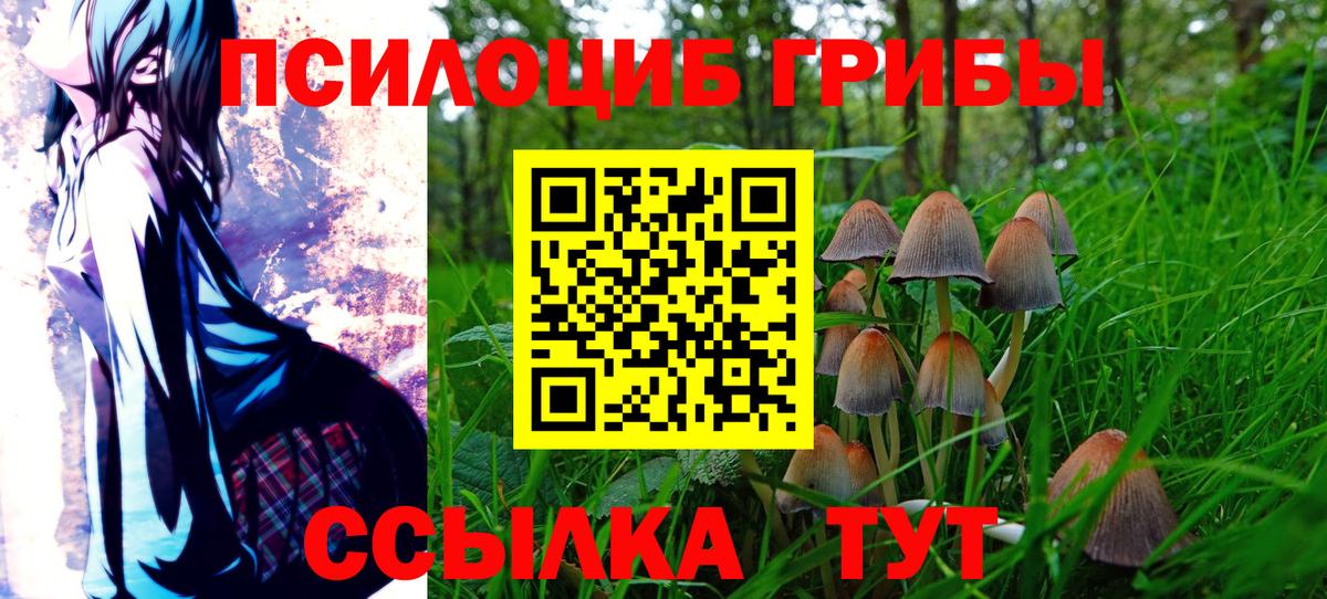 Саранск  закладки  Вход с VPN  Псилоцибиновые грибы Cubensis 