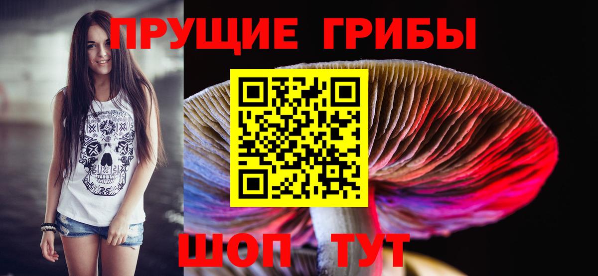Псилоцибиновые грибы Magic Shrooms Саранск