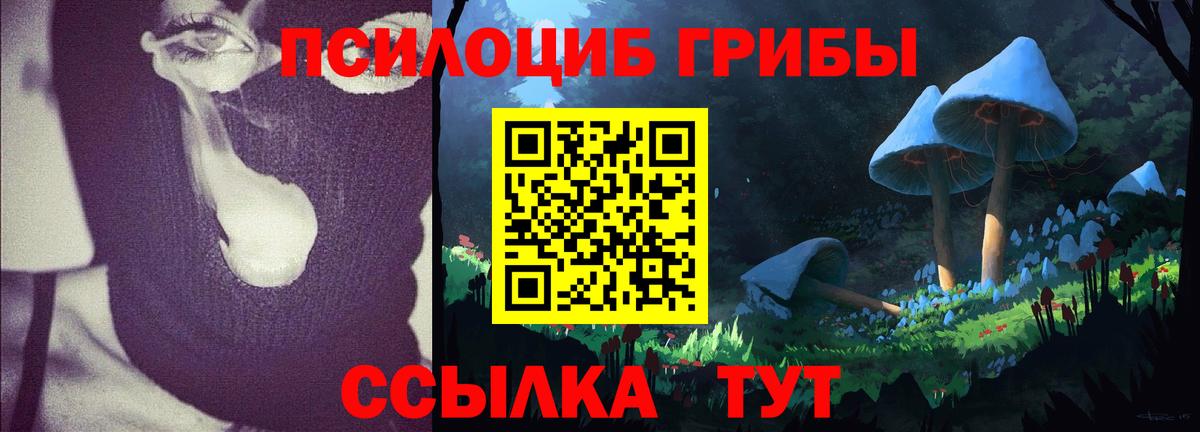 Псилоцибиновые грибы Magic Shrooms  Саранск  Псилоцибиновые грибы MAGIC MUSHROOMS 